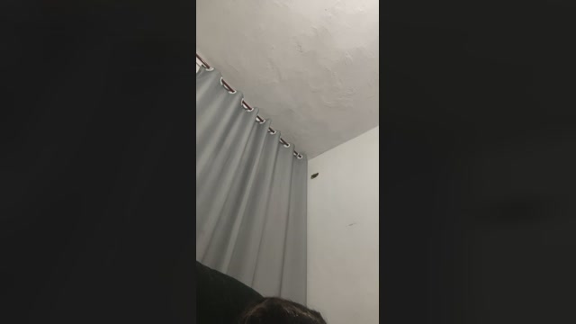 Vagabundafulera  12-11-2022